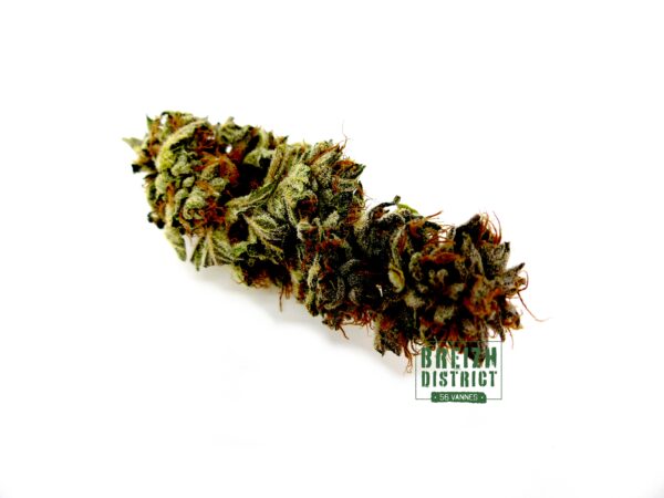 Leaf District Fleurs de CBG V56