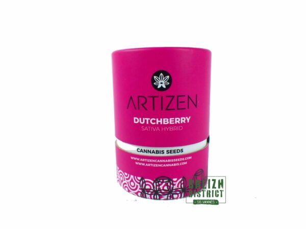 Artizen Dutchberry X 5