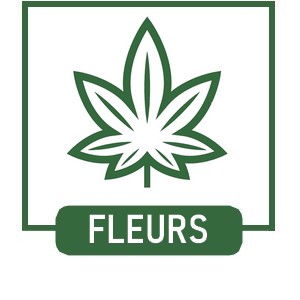 Fleurs de CBD et CBG