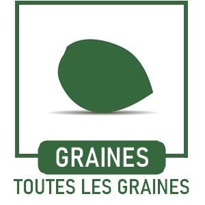 Toutes les graines de chanvre et ou de cannabis de collection