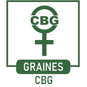Graines de Cannabis CBG de Collection