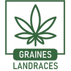 Graines de Cannabis Landraces de Collection