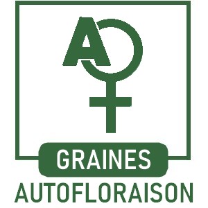 Graines de Cannabis de Collection à Autofloraison