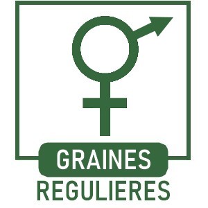 Graines de Cannabis Régulières de Collection