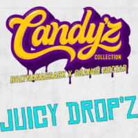 ZmoothieZ Genetics Juicy Drop'z