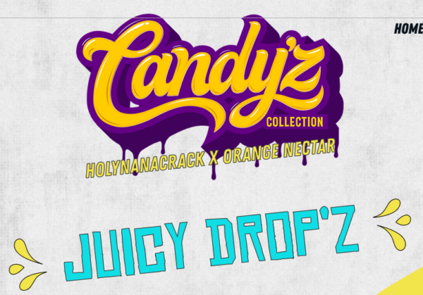 ZmoothieZ Genetics Juicy Drop'z