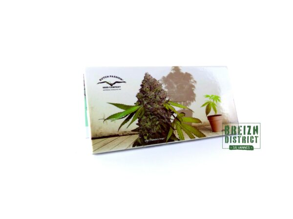 Feuilles Dutch Passion Seed Company