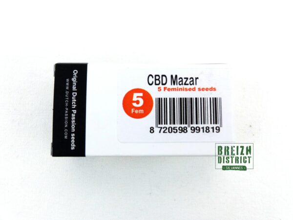 Dutch Passion Seed Company CBD Mazar X5 1