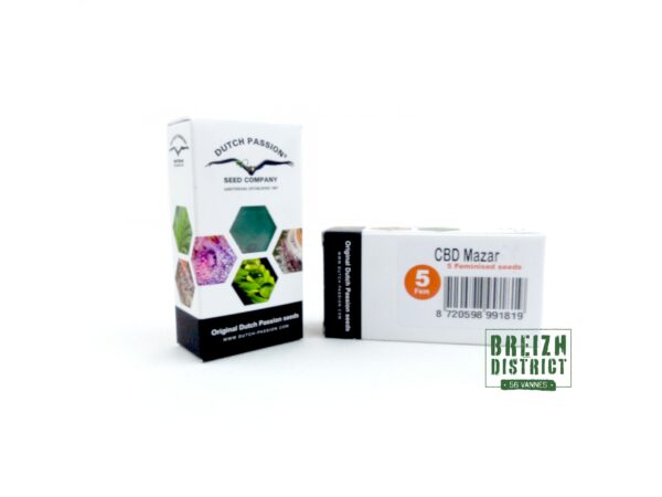 Dutch Passion Seed Company CBD Mazar X5