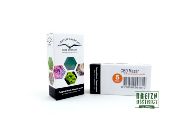 Dutch Passion Seed Company CBD Mazar X5