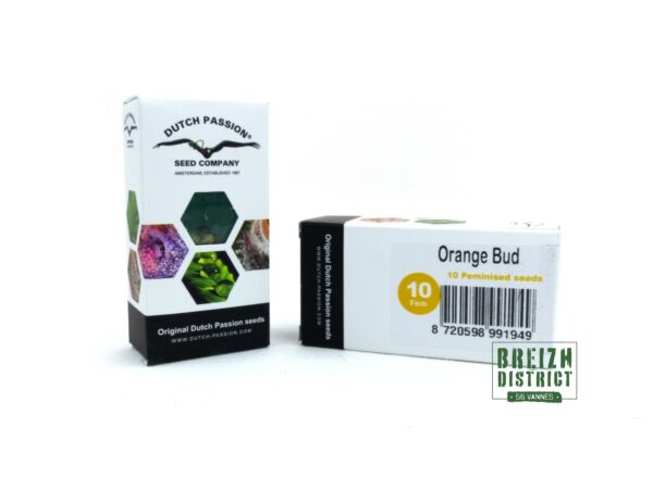 Dutch Passion Seed Company Orange Bud X10