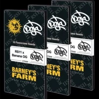 Barney's Farm - RS11 x Banana OG X 5 – Image 5