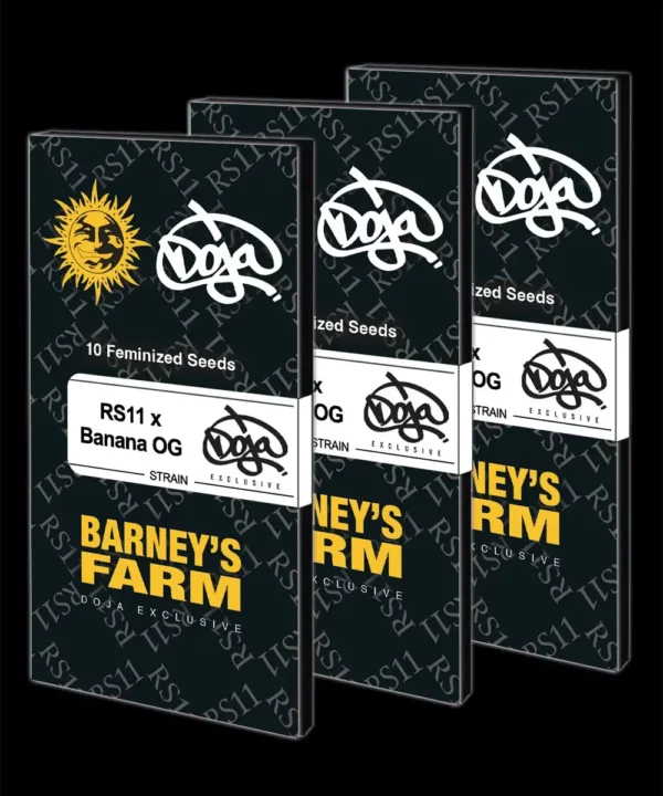 Barney's Farm - RS11 x Banana OG X 5 – Image 5