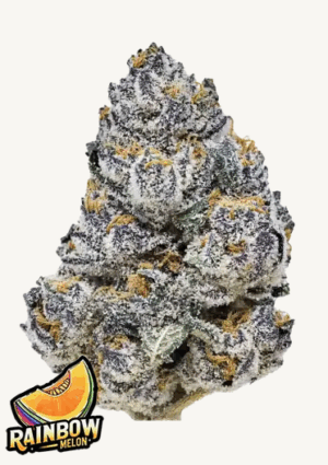 420 Fast Buds - Rainbow Melon FEM X3