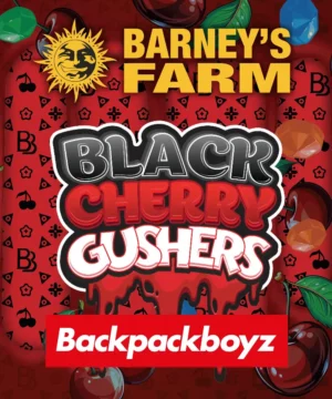 Barney's Farm - Black Cherry Gushers X 5