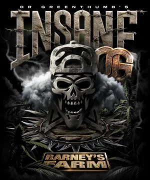 Barney's Farm - Insane OG X 10