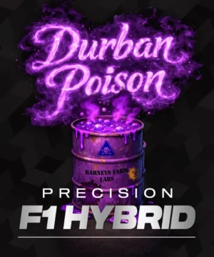 Barney's Farm - Durban Poison X 10