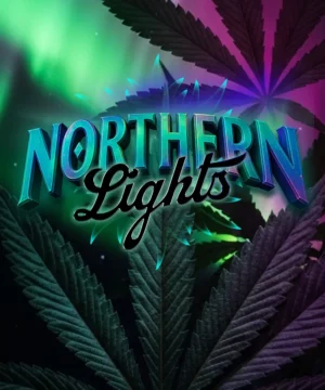 Barney's Farm - Northern Lights X 10